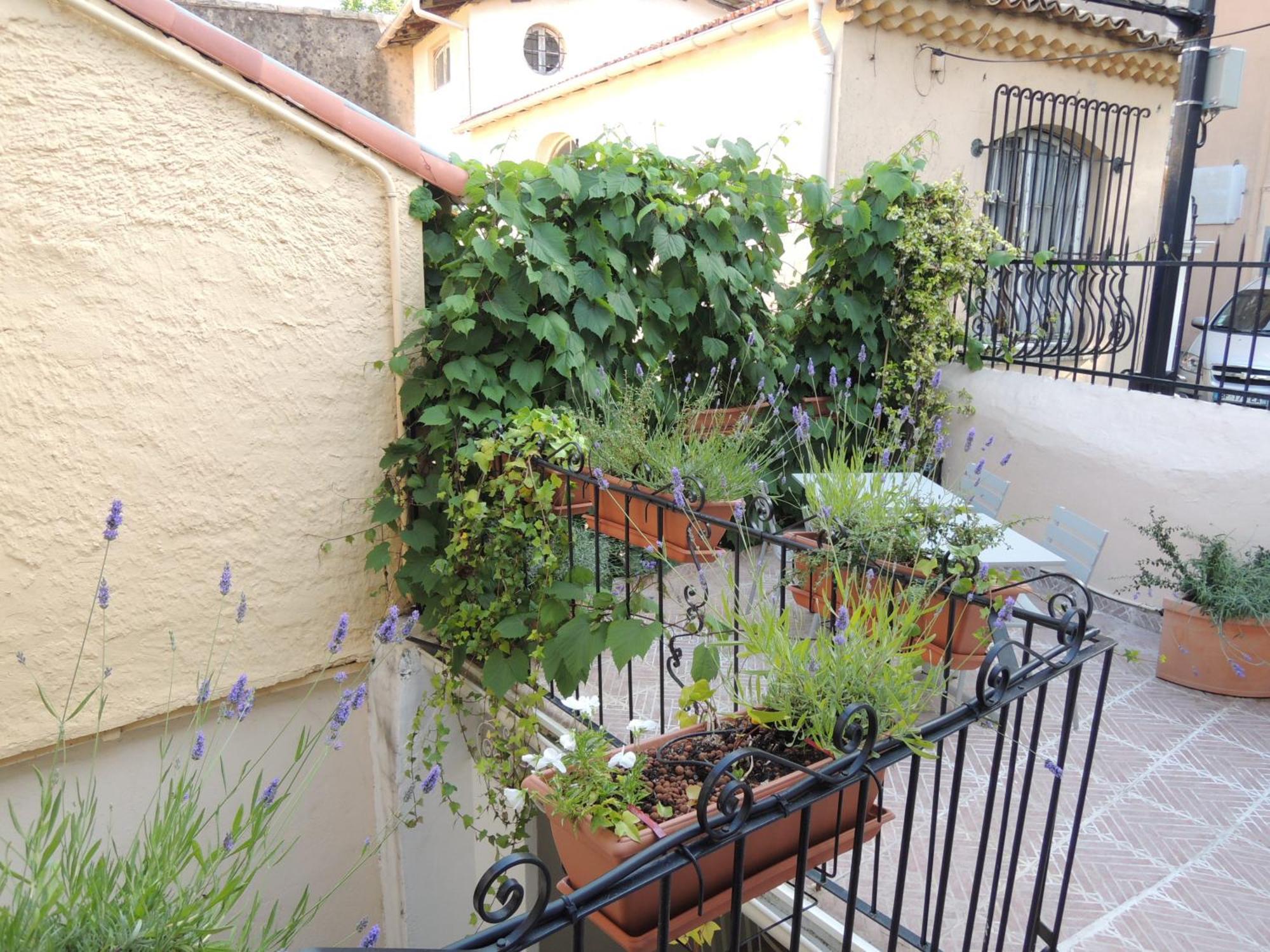 Acci Cannes Old City Værelse billede